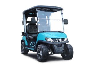 Tara Roadster 2 Seater Evolution Lithium Golf Cart Sky Blue